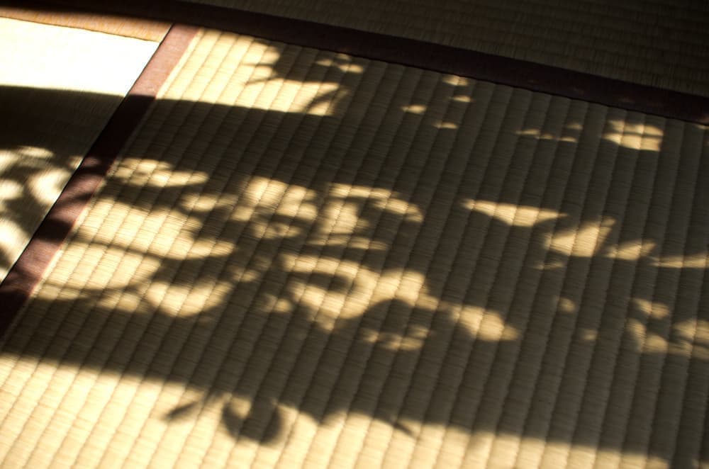 tatami-4111.jpg
