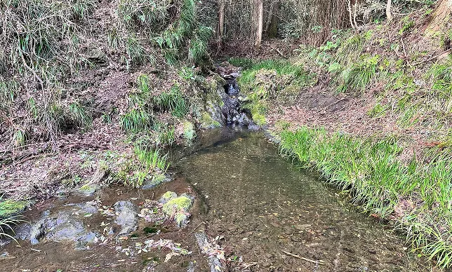 鉱泉の沢の風景
