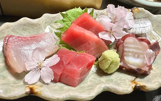 漁港から仕入れた旬の魚介